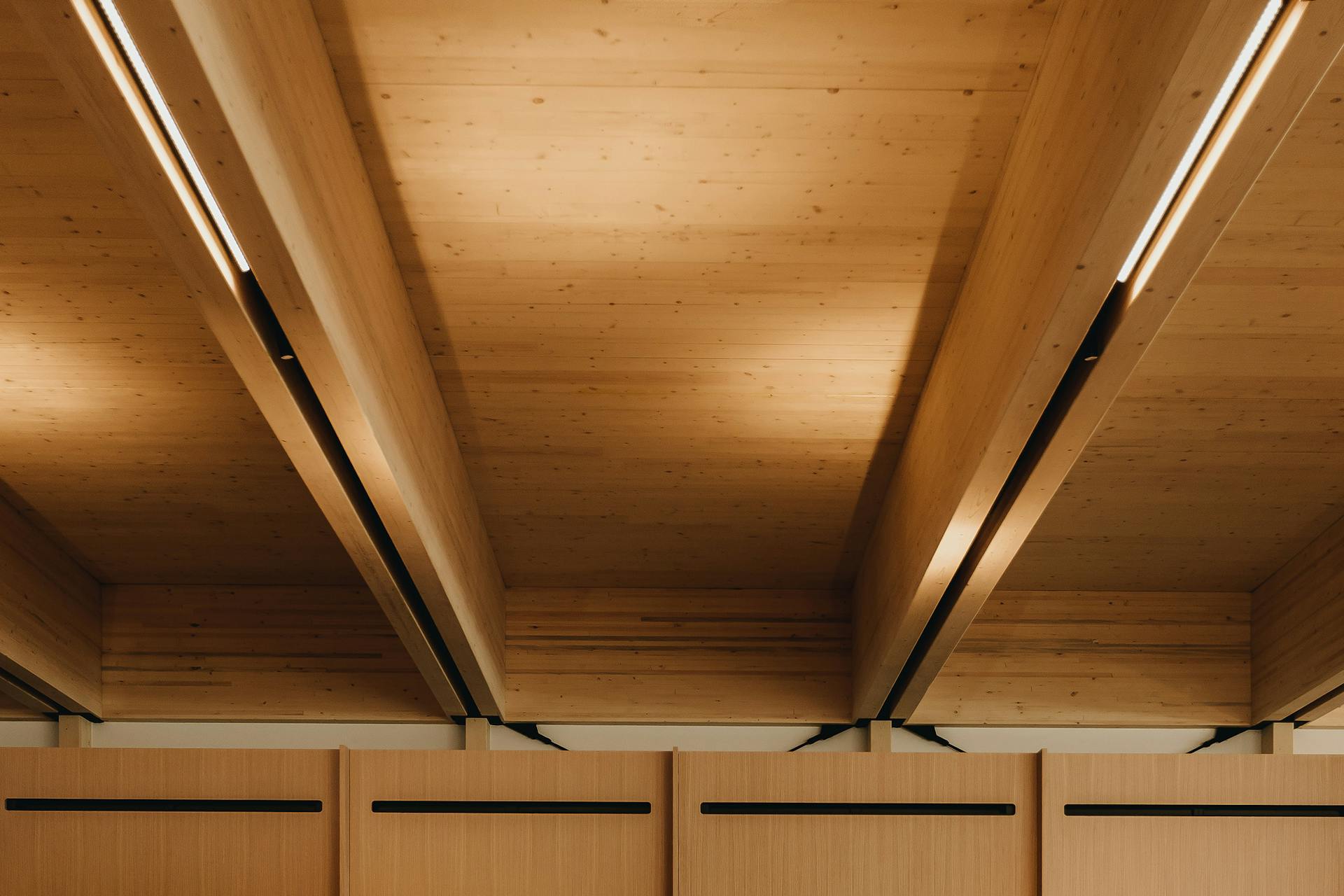 Reclaimed wood ceiling